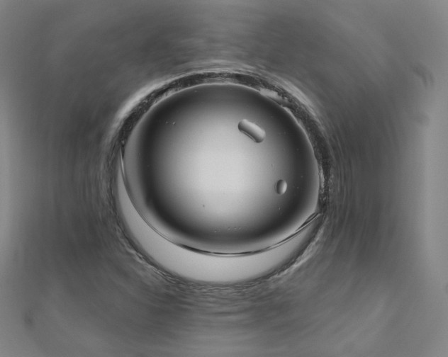 X0000112481310200908171211