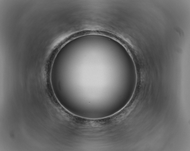 X0000112481311200908171211