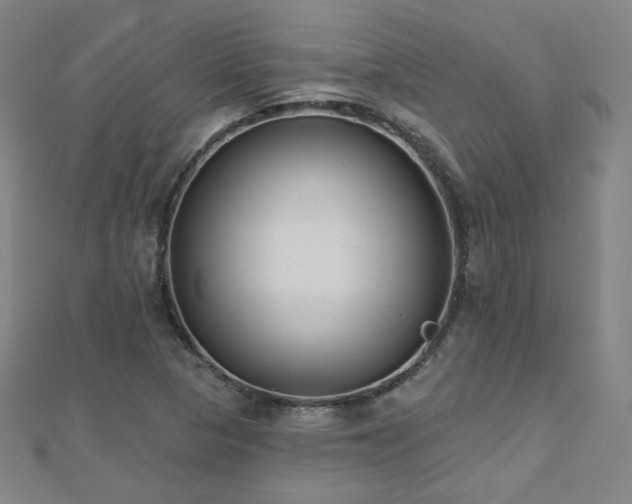X0000112481313200908171211