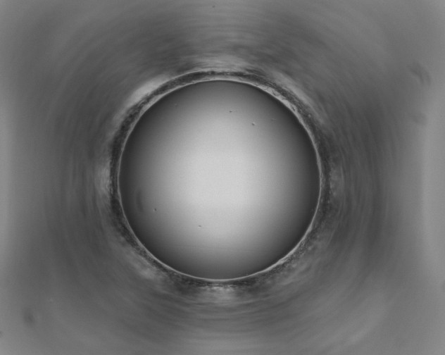 X0000112481315200908171211