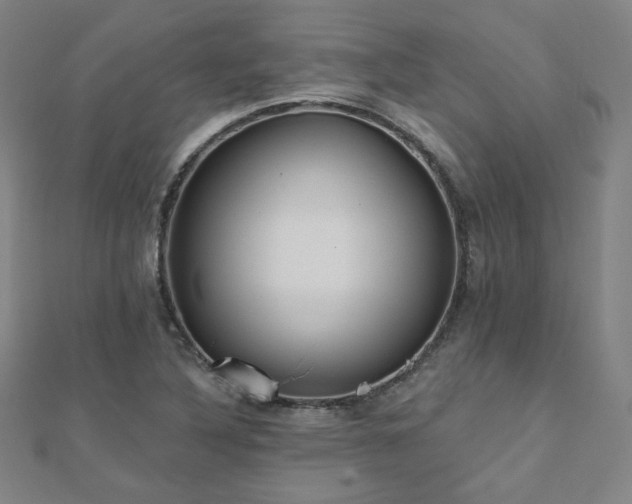 X0000112481316200908171211