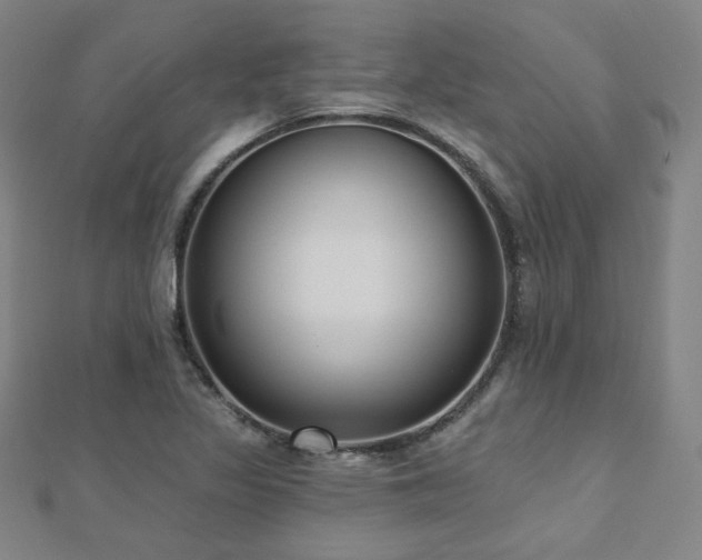 X0000112481317200908171211