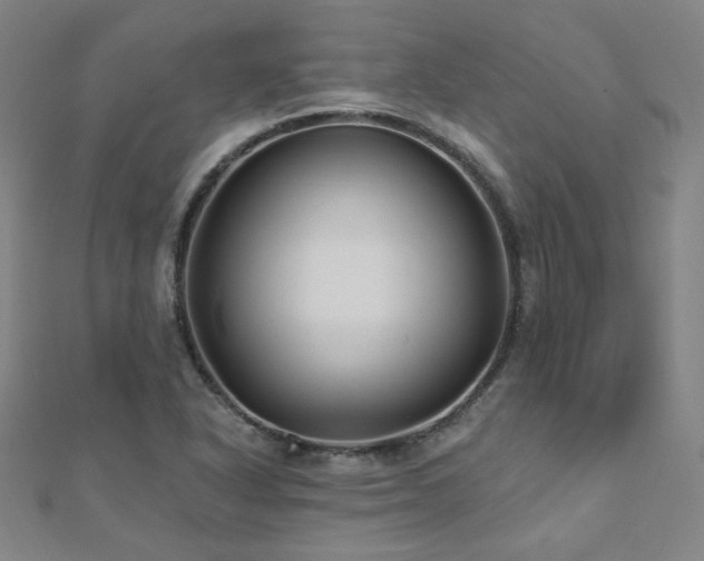 X0000112481318200908171211