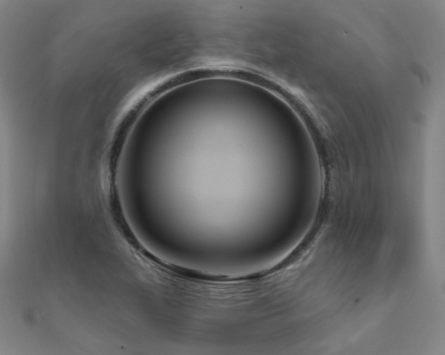 X0000112481319200908171211