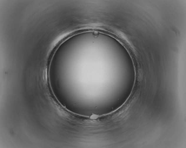 X0000112481320200908171211