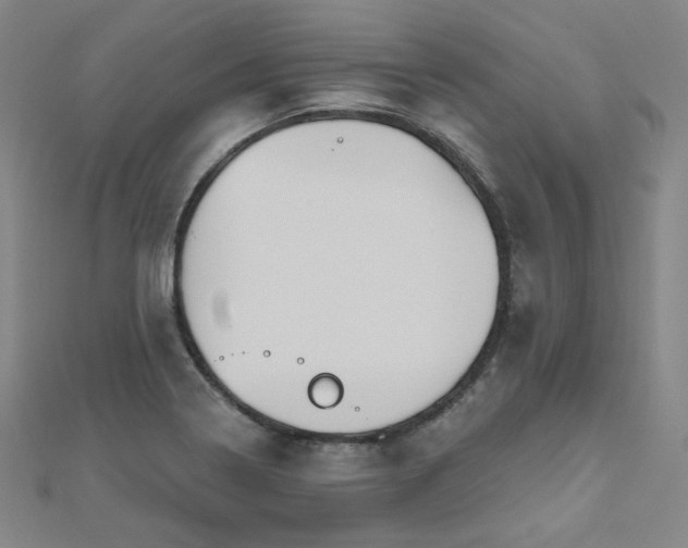 X0000112481322200908171211