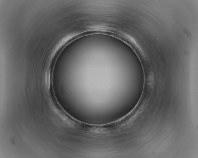 X0000112481323200908171211