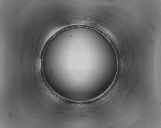 X0000112481324200908171211
