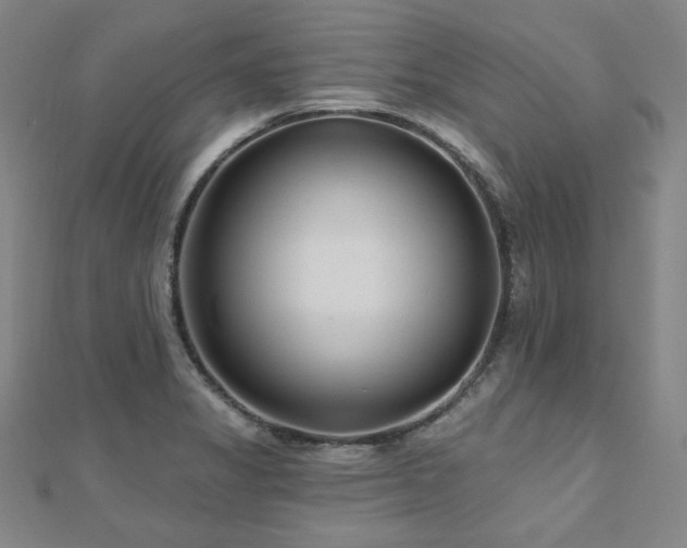 X0000112481325200908171211