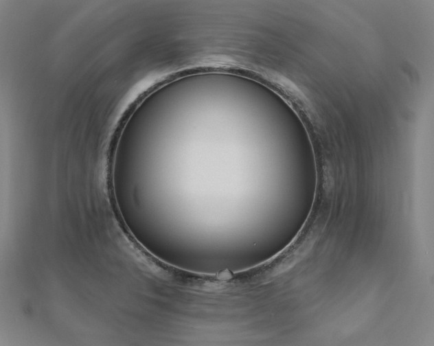 X0000112481326200908171211