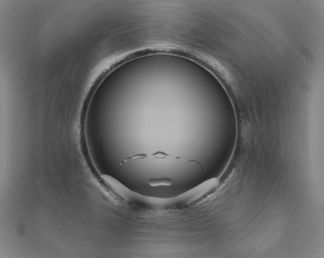 X0000112481327200908171211