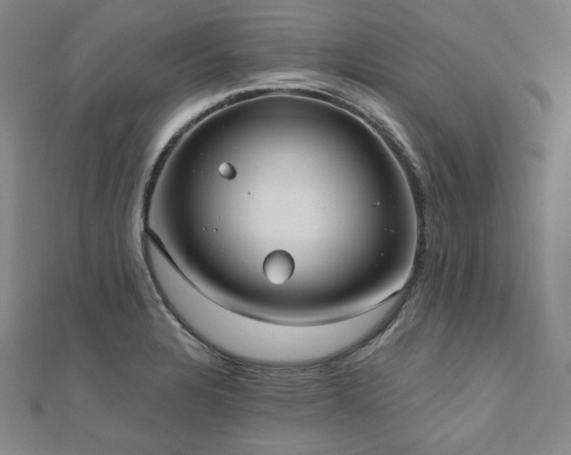 X0000112481328200908171211