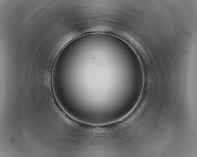 X0000112481329200908171211
