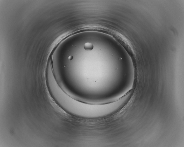 X0000112481330200908171211