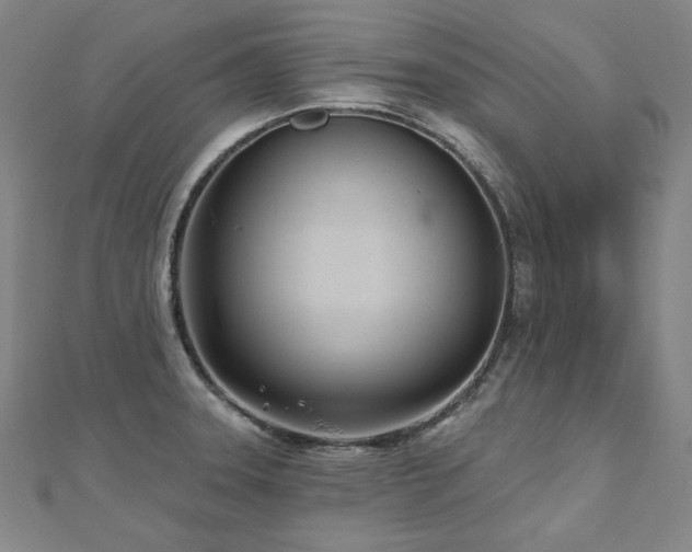 X0000112481331200908171212