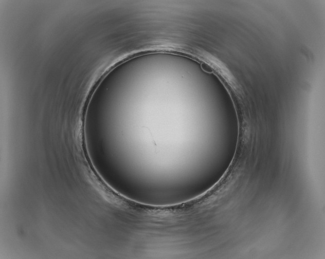 X0000112481332200908171212