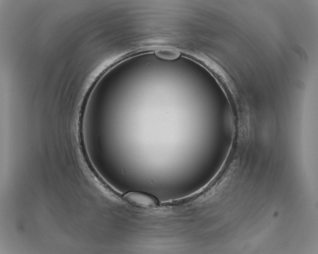 X0000112481333200908171212