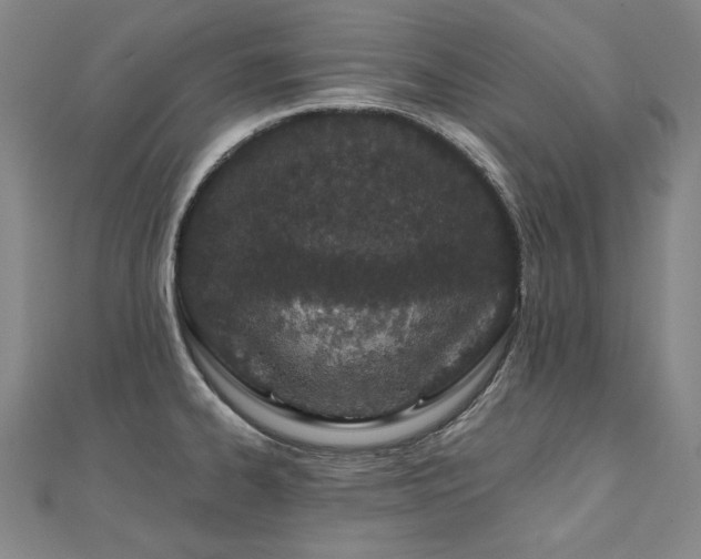 X0000112481334200908171212