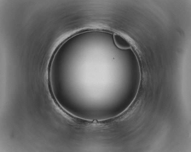 X0000112481335200908171212