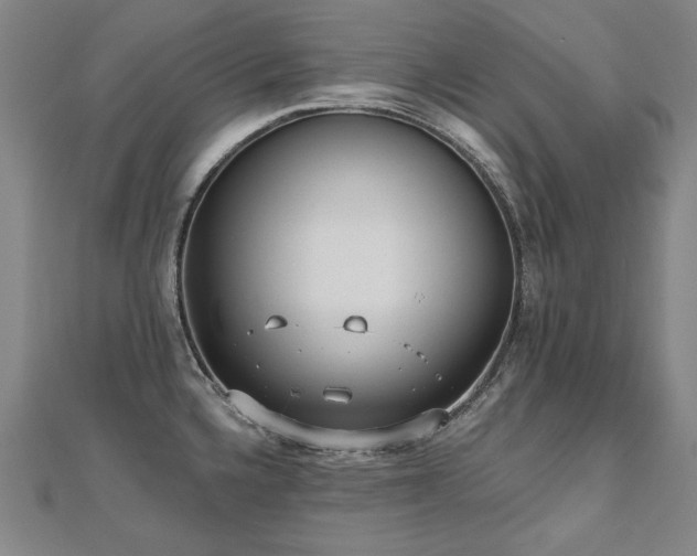 X0000112481336200908171212