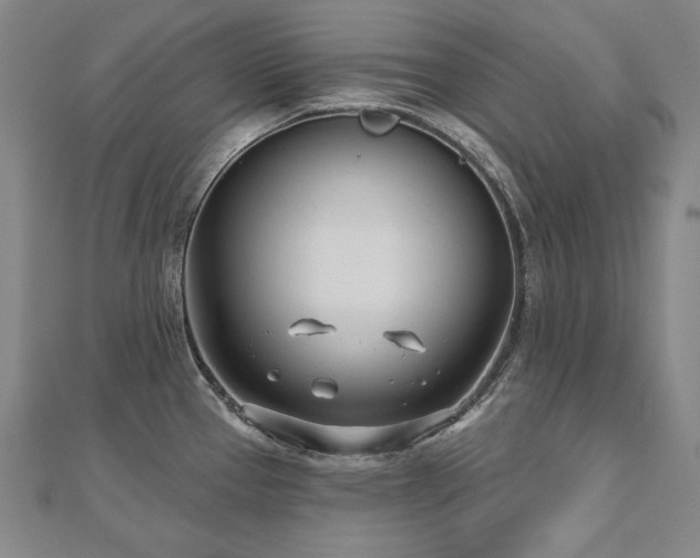 X0000112481337200908171212