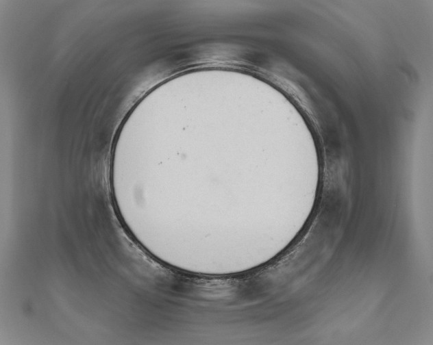 X0000112481338200908171212