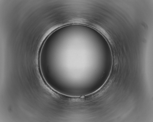 X0000112481339200908171212