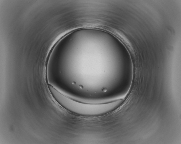 X0000112481340200908171212