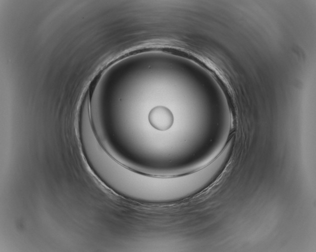 X0000112481342200908171212