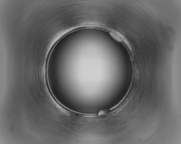 X0000112481343200908171212