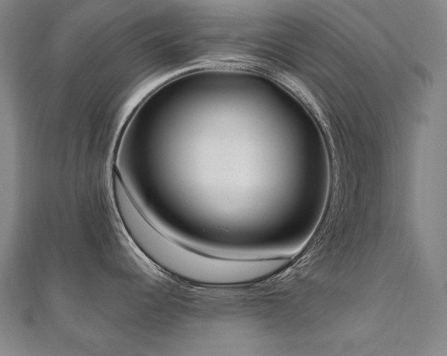 X0000112481344200908171212
