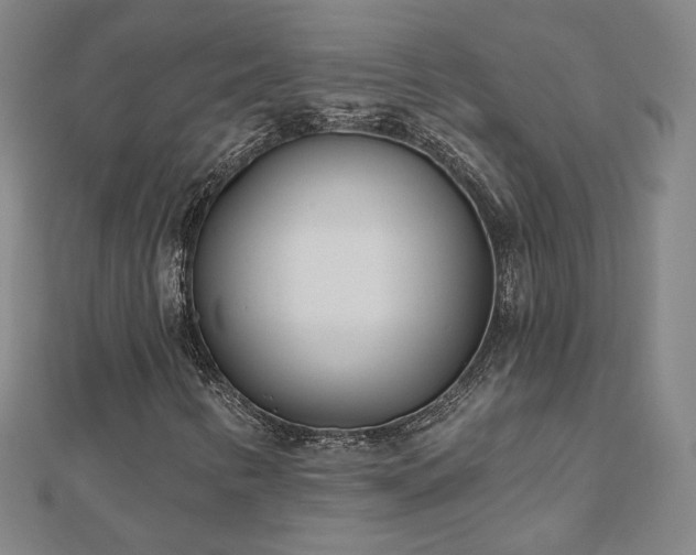 X0000112481346200908171211