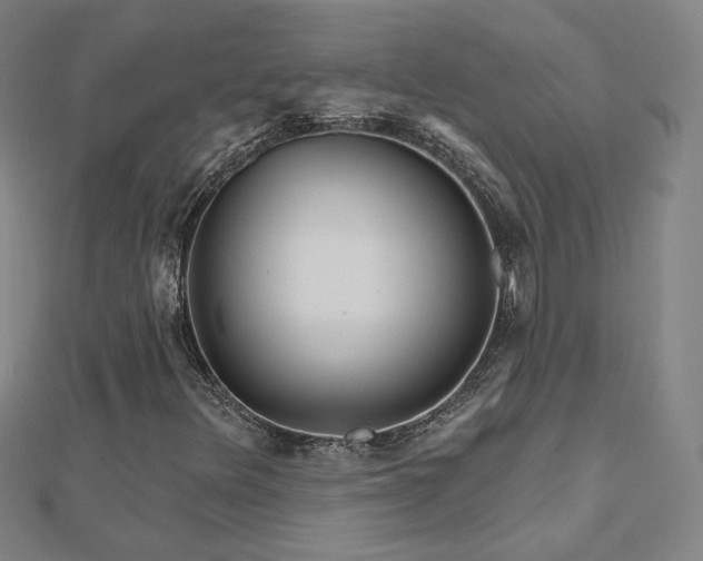 X0000112481348200908171211