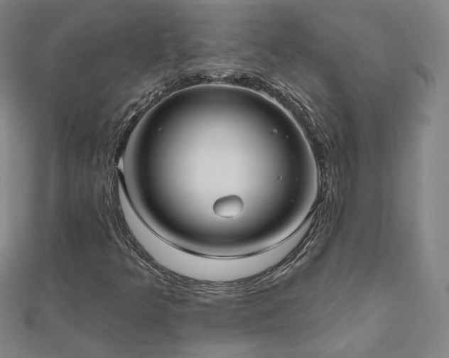 X0000112481349200908171211