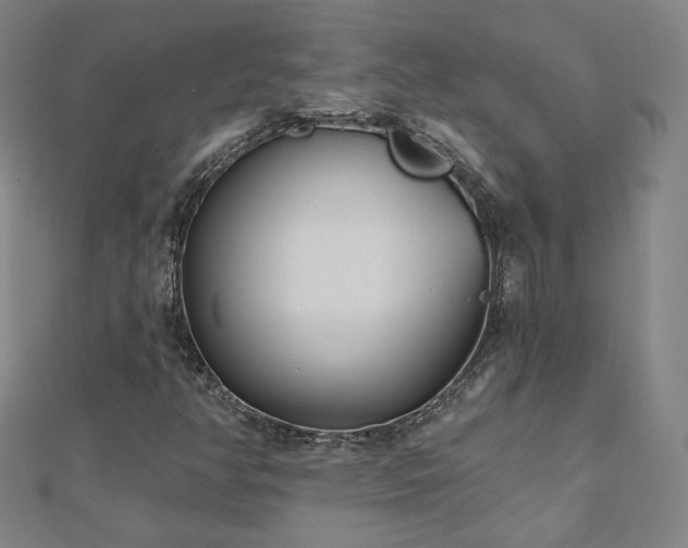 X0000112481350200908171211