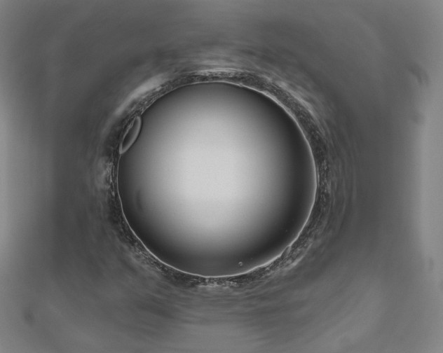 X0000112481351200908171211