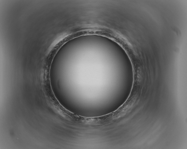 X0000112481352200908171211