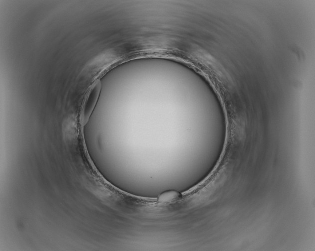 X0000112481353200908171211
