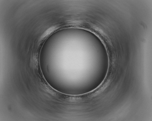 X0000112481354200908171211