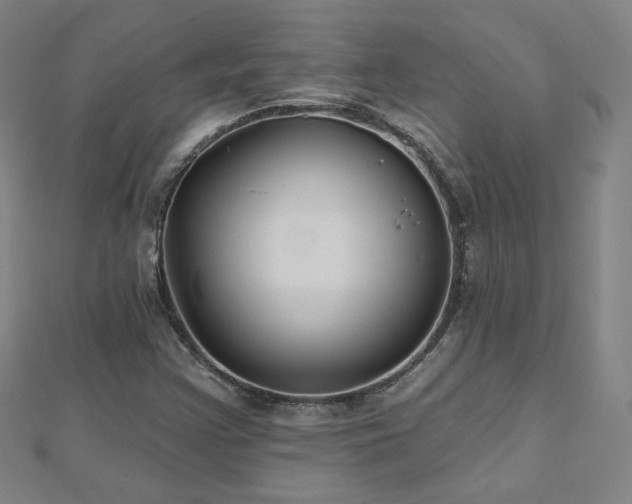 X0000112481355200908171211