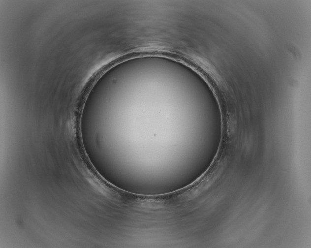 X0000112481356200908171211