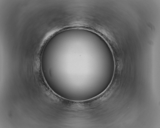 X0000112481358200908171211