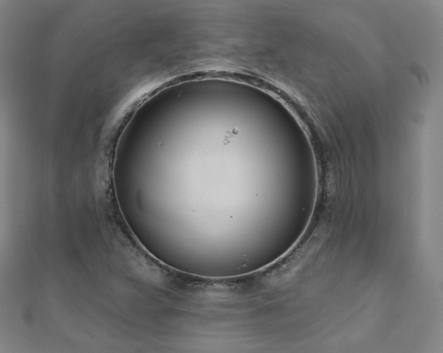 X0000112481359200908171211