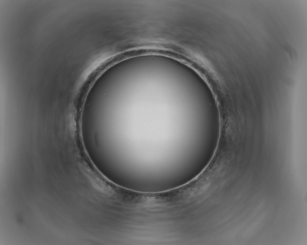 X0000112481360200908171211