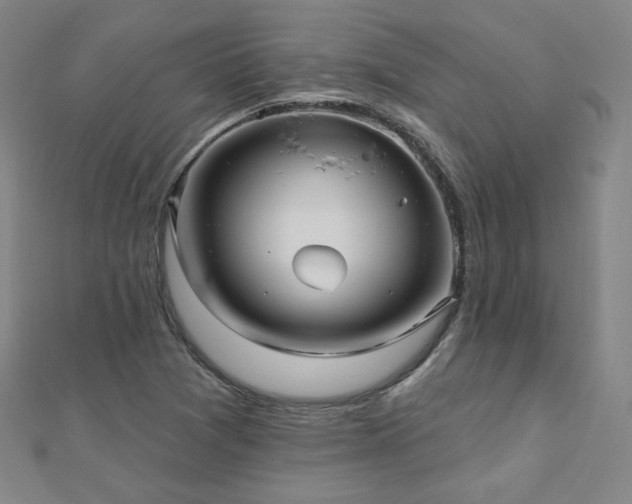 X0000112481361200908171211