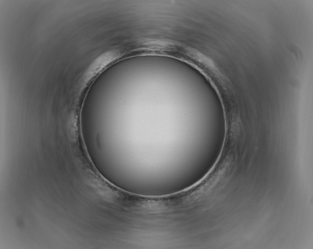 X0000112481362200908171210