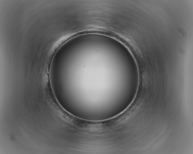 X0000112481363200908171210