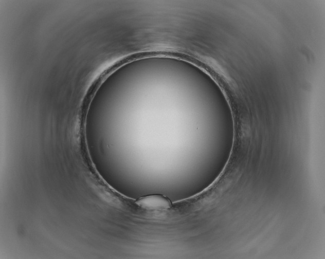 X0000112481364200908171210