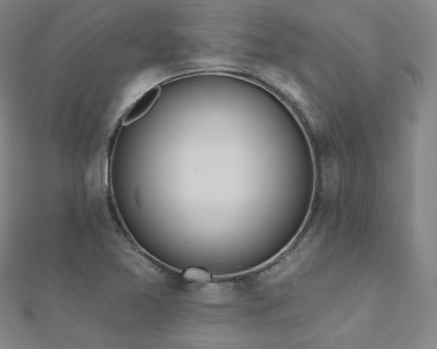X0000112481365200908171210