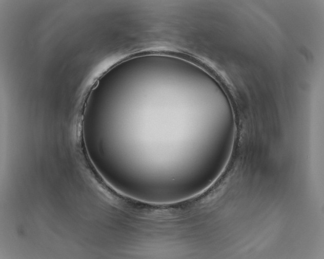 X0000112481367200908171210
